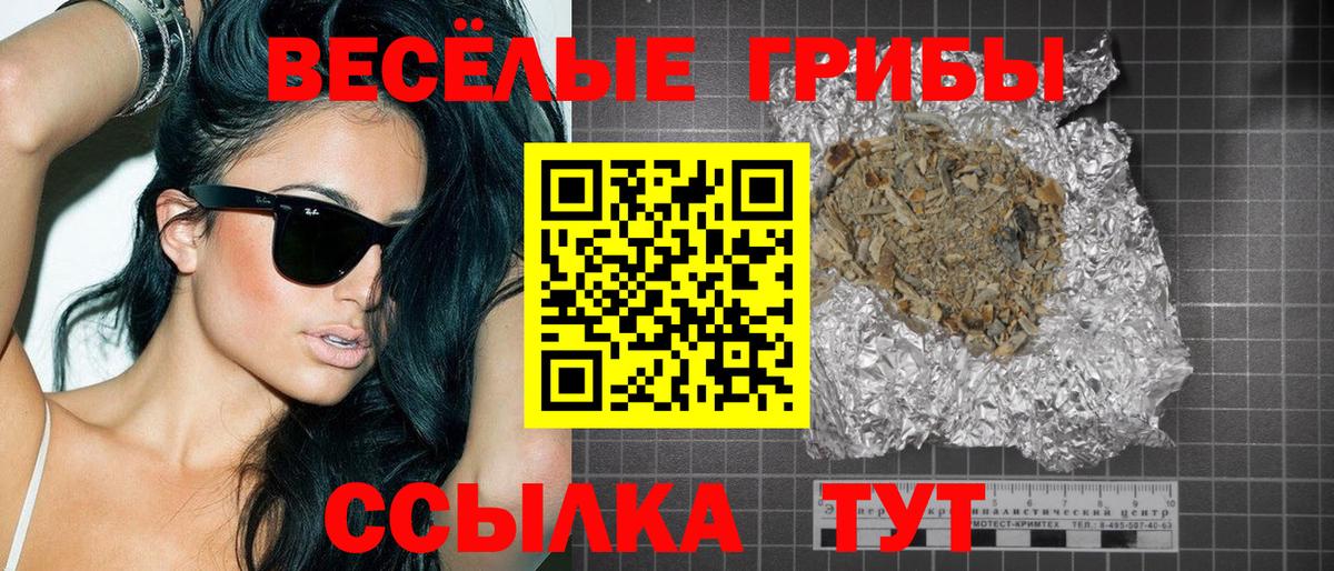 Псилоцибиновые грибы Cubensis Сатка